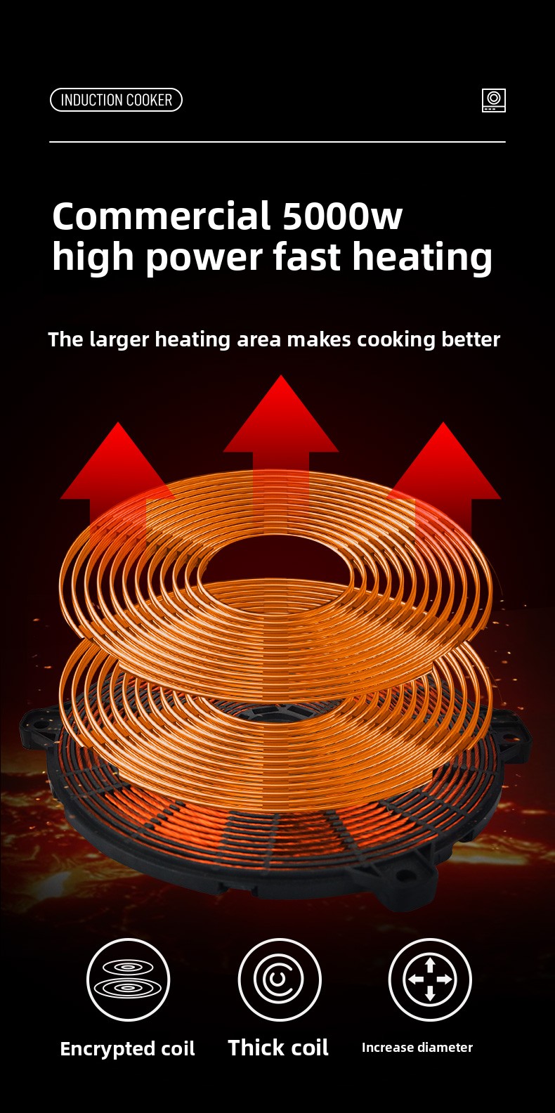 220V Commercial Induction Cook - Induction Cooktop Portable 评论和价格