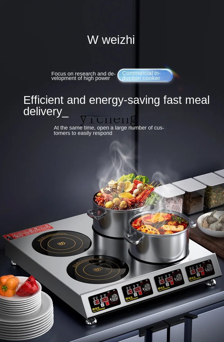 Commercial Induction Cooker Mu - Induction Cooker 评论和价格